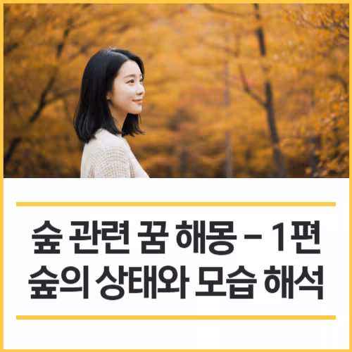 ImageToStl.com 1편숲의상태와모습해석
