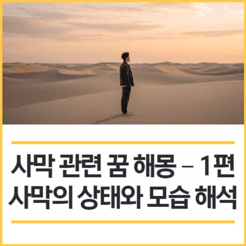 yorocorom 썸네일 500 500 001