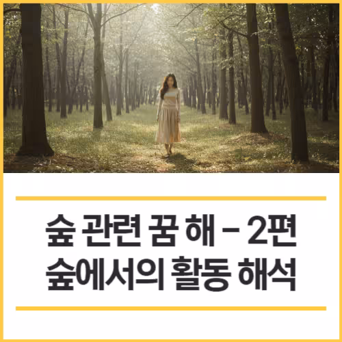 숲 관련 꿈 해몽 10가지 2편 숲에서의 활동 해석